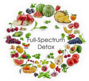 11836888_424331411096176_317618236991261045_n