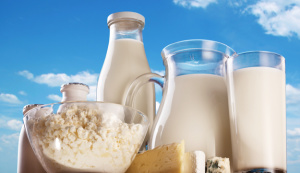 Dairy-Products-Main